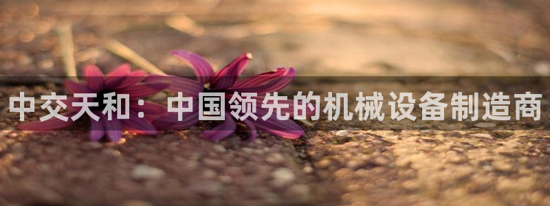 九游会大家觉得怎么样