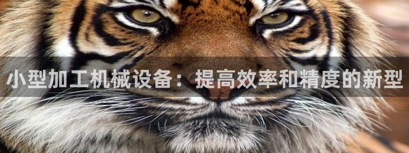 九游会国际站