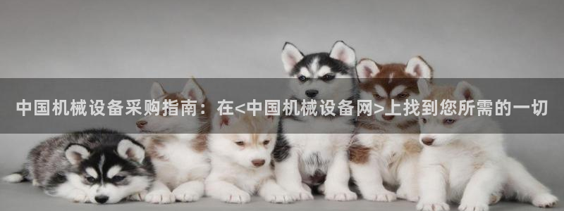 J9九游会是干嘛的