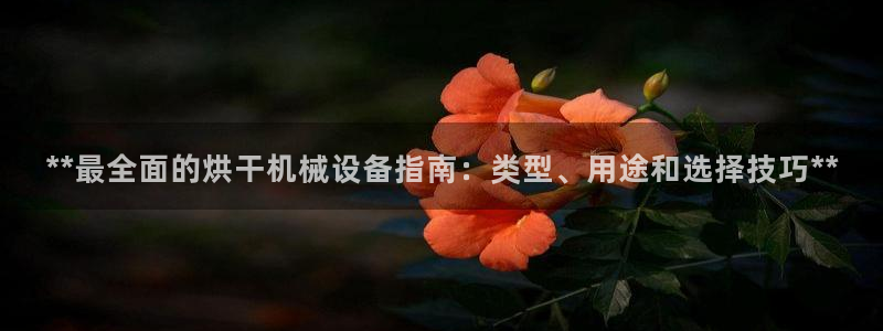 J9九游会官网-真人游戏第一品牌