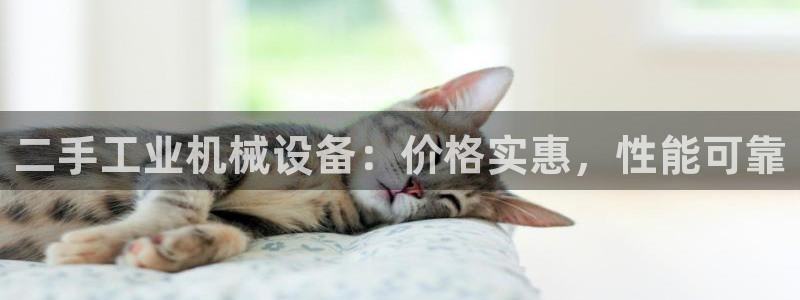 九游会app下载版官网正版手游