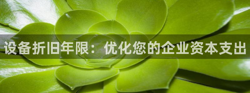 J9九游会九游国际版