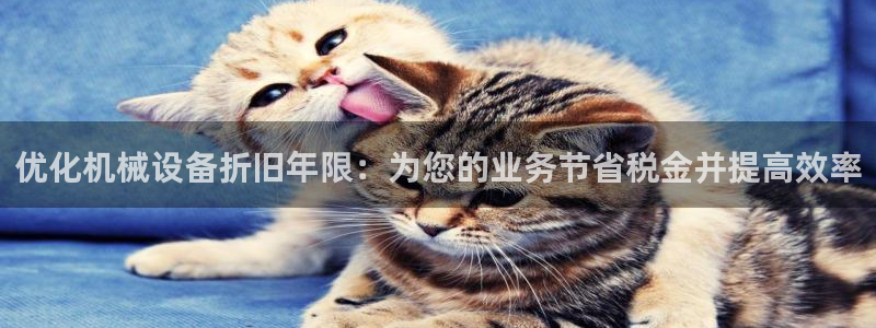 九游会登录网站吗