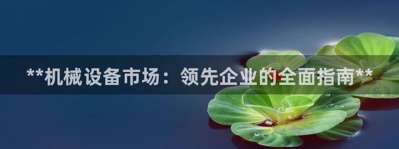 九游会ag首页