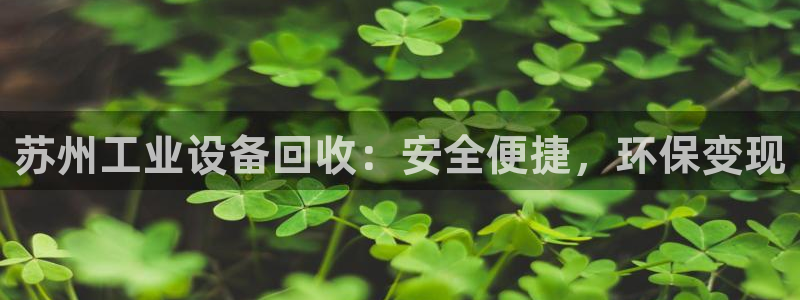 j9九游会官网入口