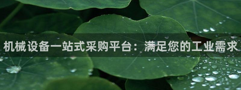 J9九游会网站