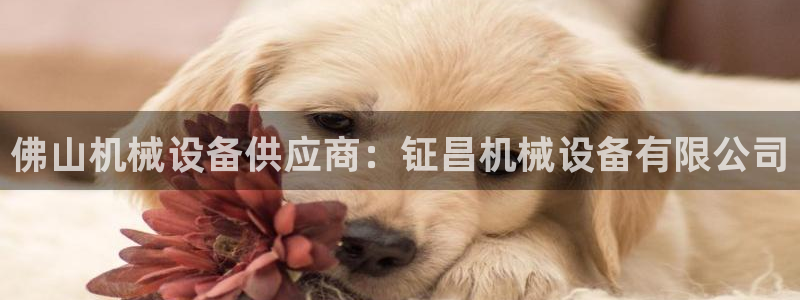 九游会中国官方网站