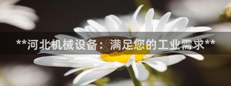 九游会ag登录j9