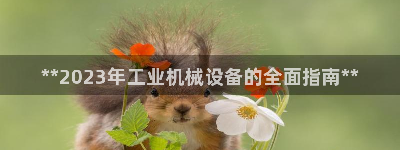 ag老队