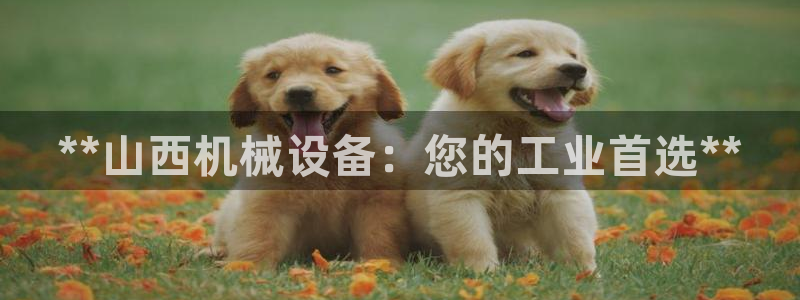 九游会上不去了