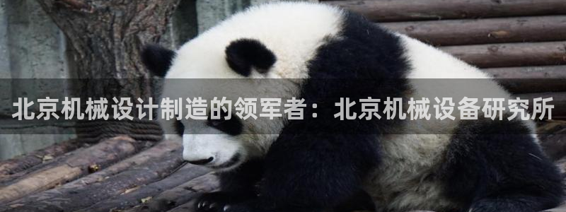 九游j9国际站官方网站
