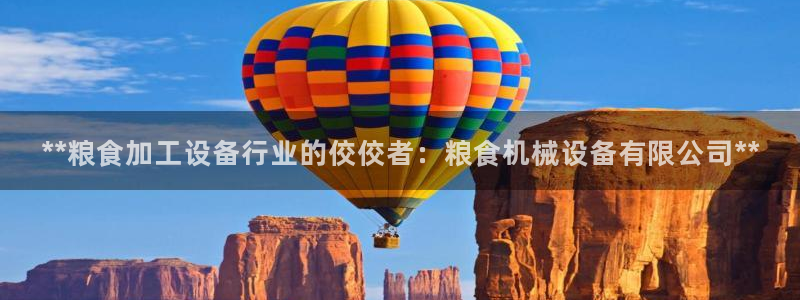 九游会登录网址多少