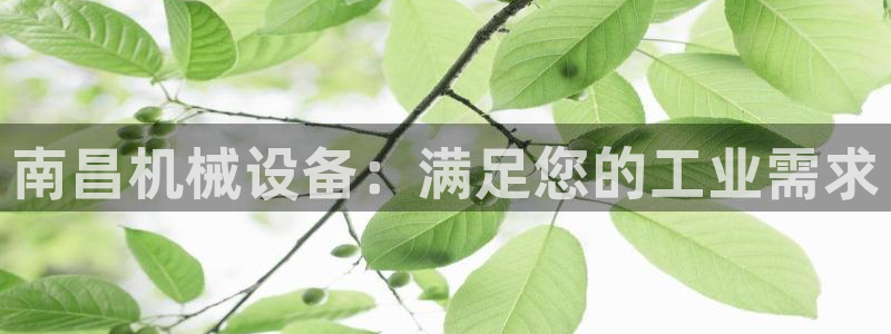 九游会注册网址