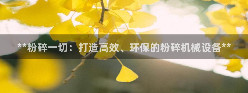 九游会最新线路