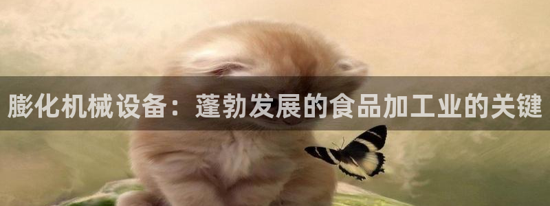 j9九游会老哥俱乐部是干啥的