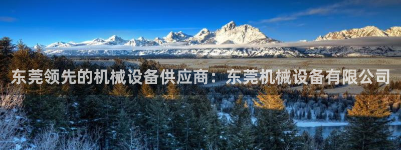 九游会游戏官网网页版