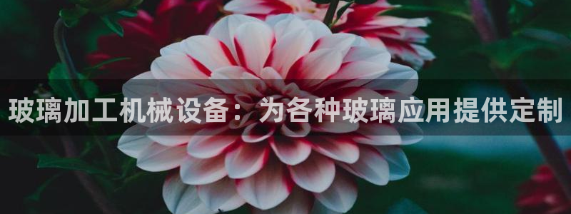 ag怎么变成九游会了