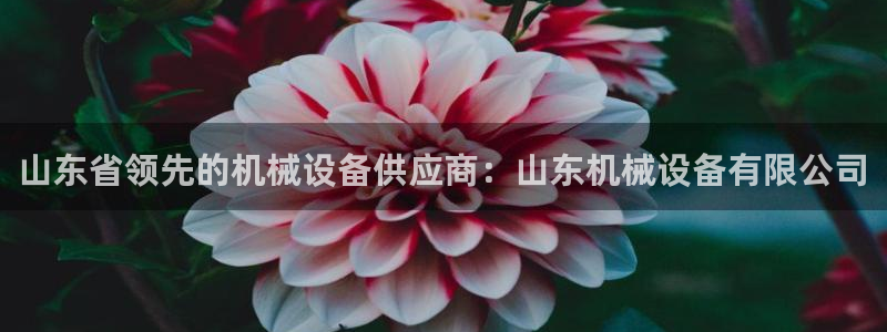 j9九游会不给提款