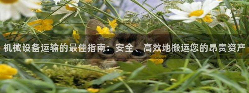 j9九游会最新官网