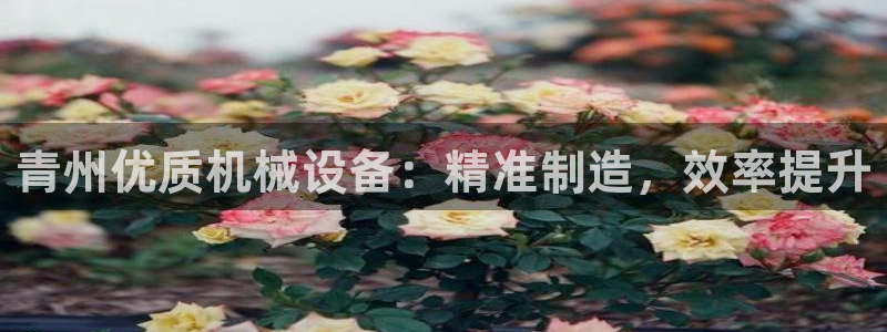 J9九游会俱乐部官方