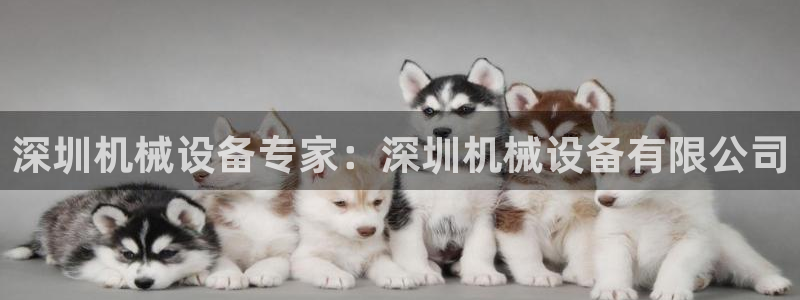 九游会.com