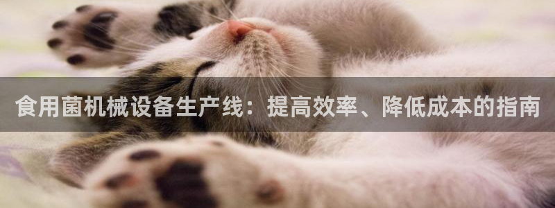 登陆九游会