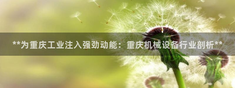 九游会老哥