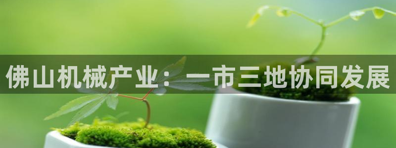 九游会平台最强