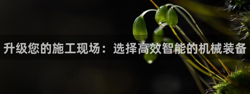 九游会j9全站平台