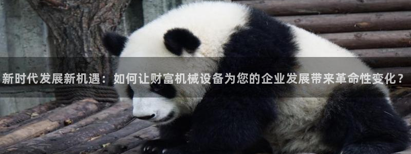 j9九游会导航