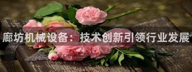 九游会跟ag是怎么一回事