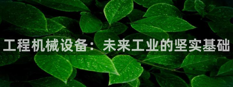 ag九游会登录中心