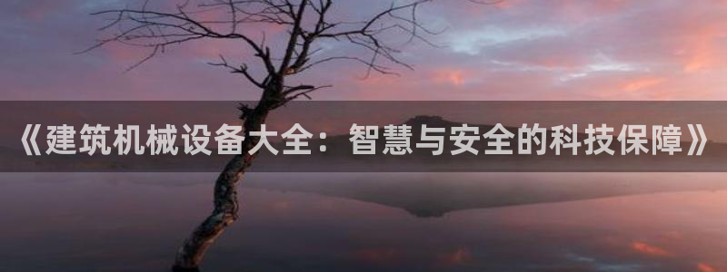九游会登不上