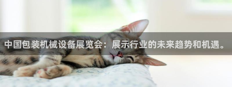 j9九游会真人手机版