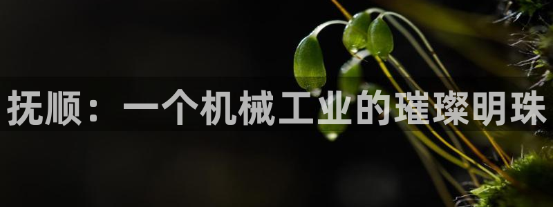 九游会游戏官网网页版