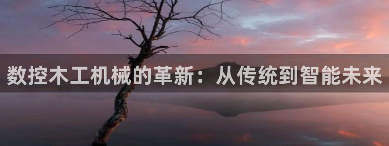 九游会ag平台