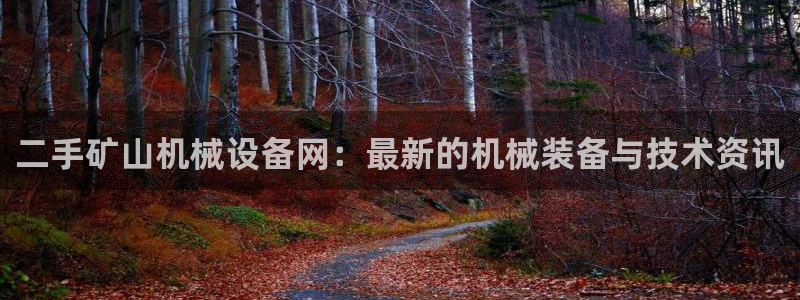 九游会是干嘛的：二手